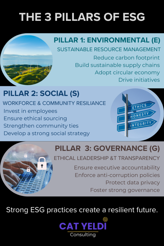 3 ESG Pillars for ESG Business Strategy